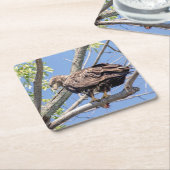 Bald-Adler mit Fisch Rechteckiger Pappuntersetzer (angewinkelt)