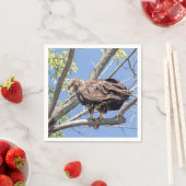 Bald-Adler mit Fisch Serviette (Beispiel)