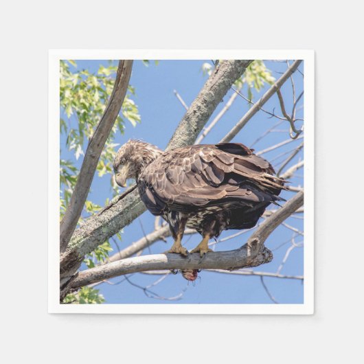 Bald-Adler mit Fisch Serviette (Vorderseite)