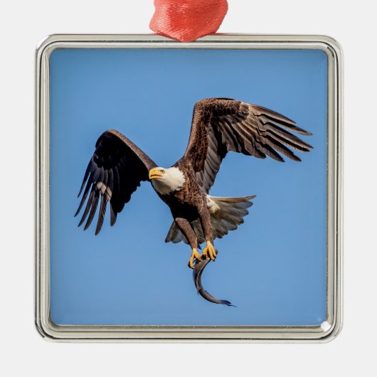 Bald-Adler mit Fisch Silbernes Ornament (Vorne)