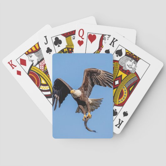 Bald-Adler mit Fisch Spielkarten (Rückseite)