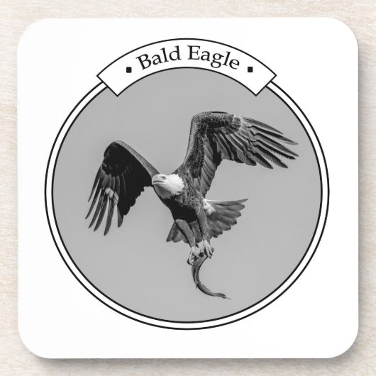 Bald-Adler mit Fisch Untersetzer (Vorderseite)