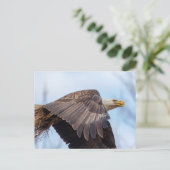 Bald-Adler mit Heu Postkarte (Stehend Vorderseite)