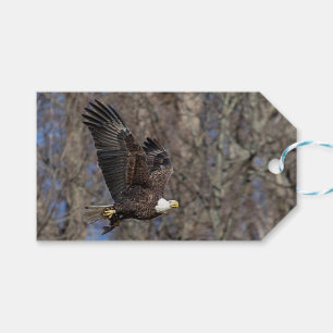 Bald-Adler mit Katfisch Geschenkanhänger