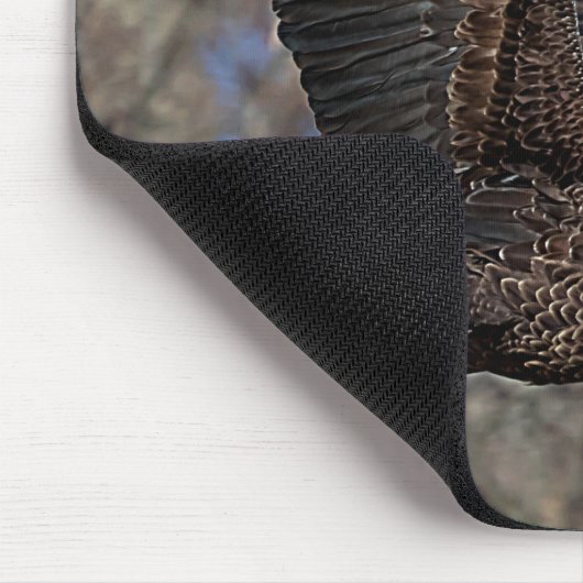 Bald-Adler mit Katfisch Mousepad (Ecke)