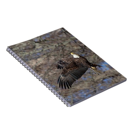 Bald-Adler mit Katfisch Notizblock (Rechte Seite)