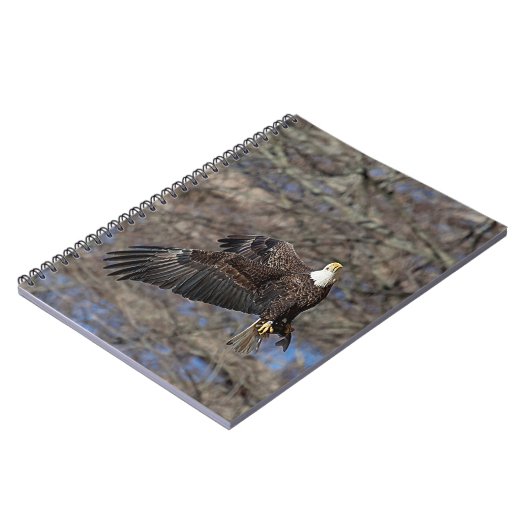 Bald-Adler mit Katfisch Notizblock (Linke Seite)