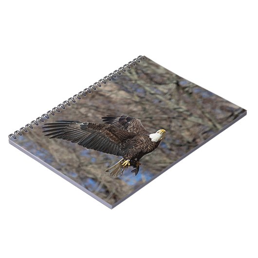 Bald-Adler mit Katfisch Notizblock (Linke Seite)