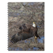 Bald-Adler mit Katfisch Notizblock (Vorderseite)