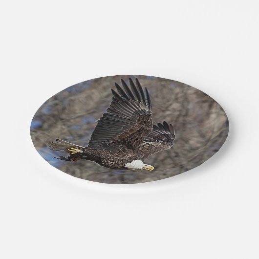 Bald-Adler mit Katfisch Pappteller (Schrägansicht)