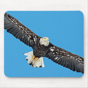 Bald-Adler Mousepad