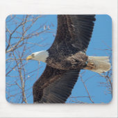 Bald-Adler Mousepad (Vorne)