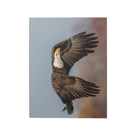 Bald-Adler Notizblock (Rotiert)