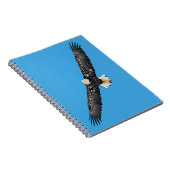 Bald-Adler Notizblock (Rechte Seite)