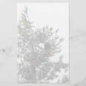 Bald-Adler P2825 (Vorderseite)