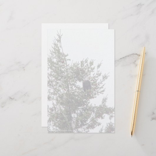 Bald-Adler P2825 (Vorderseite/Rückseite Beispiel)