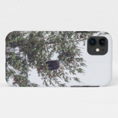 Bald-Adler P2825 Case-Mate iPhone Hülle (Rückseite (Horizontal))
