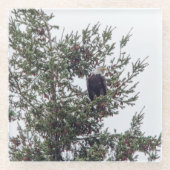 Bald-Adler P2825 Glasuntersetzer (Vorderseite)