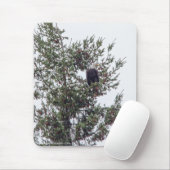 Bald-Adler P2825 Mousepad (Mit Mouse)