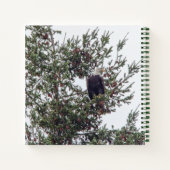 Bald-Adler P2825 Notizblock (Rückseite)
