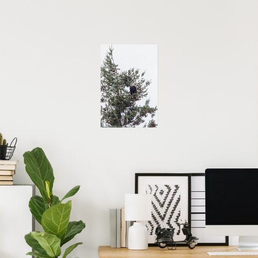 Bald-Adler P2825 Poster (Heimbüro)