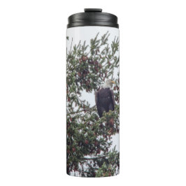 Bald-Adler P2825 Thermosbecher