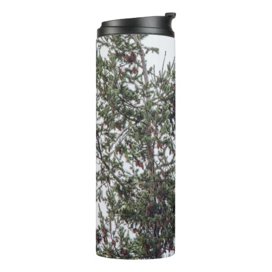 Bald-Adler P2825 Thermosbecher (Nach links gedreht)