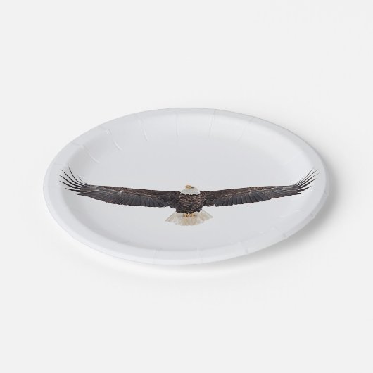 Bald-Adler Pappteller (Schrägansicht)