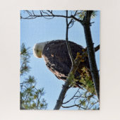 Bald Adler Perch - 16x20 - 520 Stk. Puzzle (Vertikal)