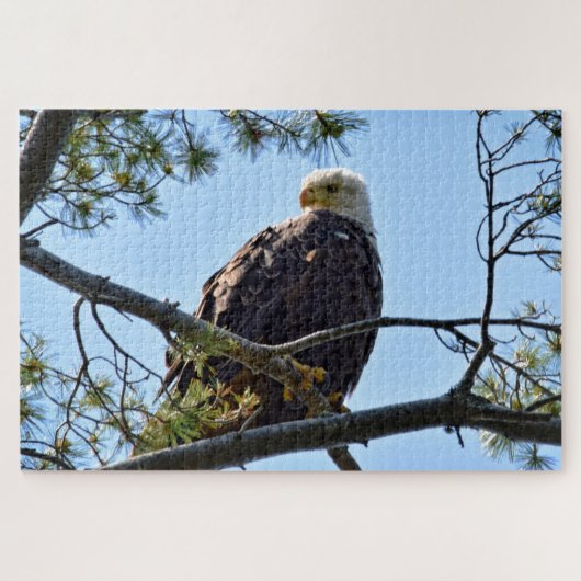 Bald Adler Perch - 20x30 - 1014 Stk. Puzzle (Horizontal)