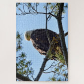 Bald Adler Perch - 20x30 - 1014 Stk. Puzzle (Vertikal)