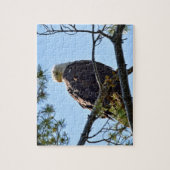 Bald Adler Perch - 8x10 - 110 Stk. Puzzle (Vertikal)