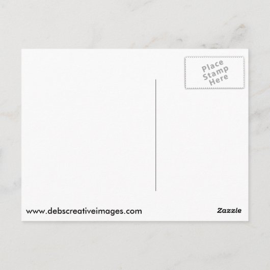 Bald-Adler Postkarte (Rückseite)