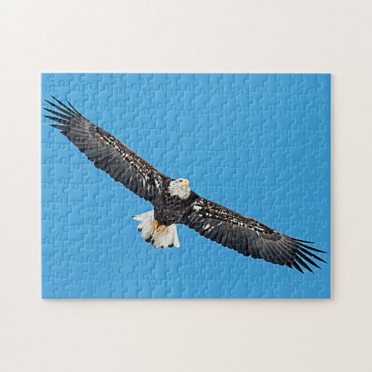 Bald-Adler Puzzle (Horizontal)