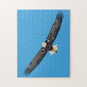 Bald-Adler Puzzle (Vertikal)