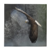 Bald Adler Raptor Wildlife Wasserfall Tile Fliese (Vorderseite)