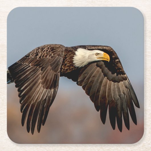 Bald-Adler Rechteckiger Pappuntersetzer (Vorderseite)