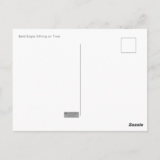 Bald Adler Sitzen Postkarte (Rückseite)