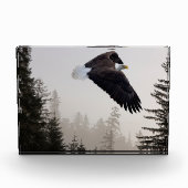 Bald-Adler stürzt durch Nebel Fotoblock (Vorderseite)