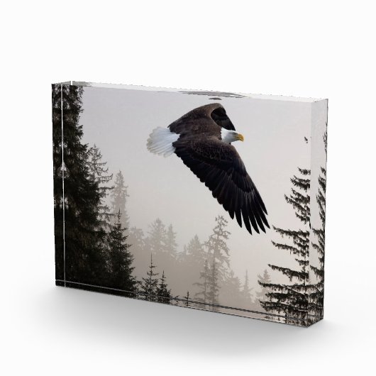 Bald-Adler stürzt durch Nebel Fotoblock (Rechts)