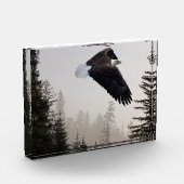 Bald-Adler stürzt durch Nebel Fotoblock (Links)