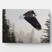 Bald-Adler stürzt durch Nebel Fotoplatte (Vorderseite)