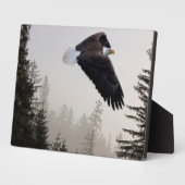 Bald-Adler stürzt durch Nebel Fotoplatte (Seite)