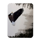 Bald-Adler stürzt durch Nebel Magnet (Vertikal)