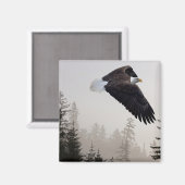 Bald-Adler stürzt durch Nebel Magnet (Vorderseite/Rückseite)