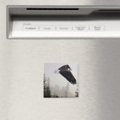 Bald-Adler stürzt durch Nebel Magnet (In Situ (Geschirrspüler))