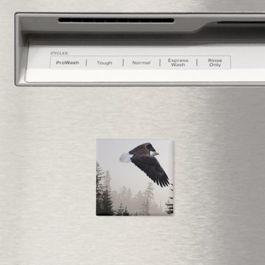 Bald-Adler stürzt durch Nebel Magnet (In Situ (Geschirrspüler))