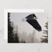 Bald-Adler stürzt durch Nebel Postkarte (Vorne/Hinten)