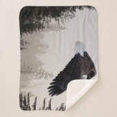 Bald-Adler stürzt durch Nebel Sherpadecke (Vorderseite)