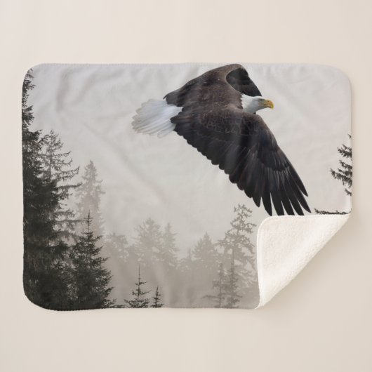 Bald-Adler stürzt durch Nebel Sherpadecke (Vorderseite (Horizontal))